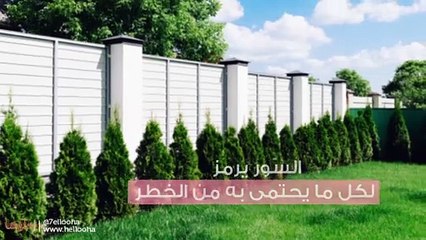 السّور في المنام وتفسير رؤية الأسوار والسّياج في الحلم بالتفصيل