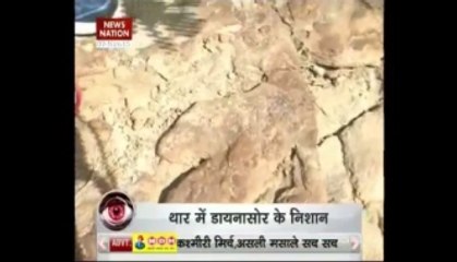 Rahasya: Dinosaur footprints on Thar
