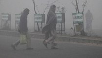 Cold wave persists in north India