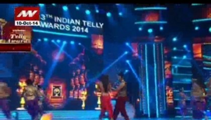 Glimpse of 13th Indian Tele Awards