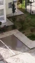 Nusaybin'de TOKİ Konutlarında çocukları kovalayan polis havaya ateş açtı