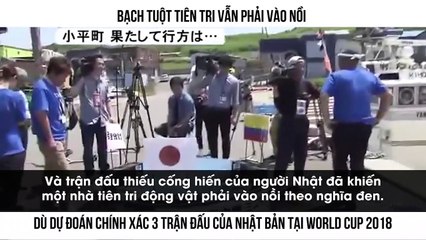 BẠCH TUỘT TIÊN TRI VẪN PHẢI VÀO NỒI DÙ DỰ ĐOÁN CHÍNH XÁC 3 TRẬN ĐẤU CỦA NHẬT BẢN TẠI WORLD CUP 2018