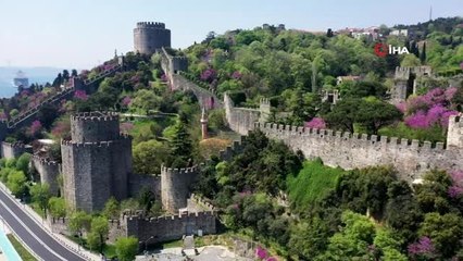 Vali Yerlikaya'dan erguvan paylaşımı