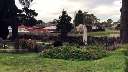 best scary frank ever