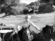 Buffalo Bill Jr S1E11: Hooded Vengeance (Western,TV Series)