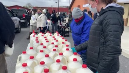 Free milk due to the pandemic