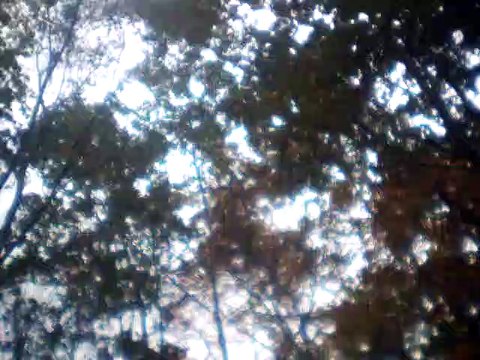 kalinka second balalaika