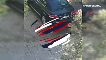 Kedi ile saksağanlar arasında yaşanan ilginç anlar kamerada