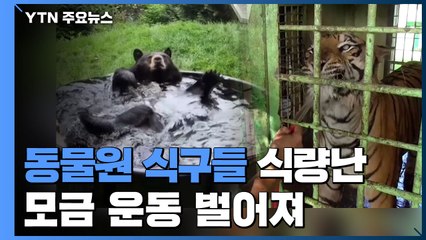 코로나로 동물원 식구들 굶주리자...시민들 모금 운동 / YTN