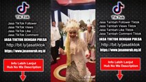 Jasa Tik Tok Aman Murah Indonesia