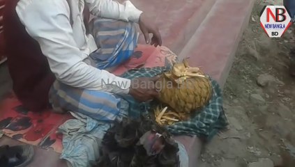 এই সেই নাগমনি ফুল ।। জীবনে একবার হলেও দেখে নিন, এই ফুল ধারা কি হয় । Naggmoni flowers