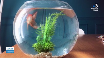 Coronavirus : ces mots entrés dans le vocabulaire commun