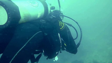 amazing video |    underwater amazing view  so beautiful