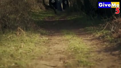 Dirilis Ertugrul Season 1 Episode 21 Hindi/Urdu Dubbed | Ertugrul Ghazi