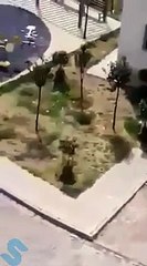 Polis Çocukları Silah ile Kovaladı
