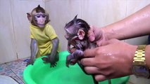 Mom Bathing For NITA Baby Monkey For the First Time//Take care of Monkey NITA  super small