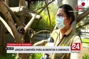 Zoológico  de Huachipa lanza campaña para asegurar alimentos de animales