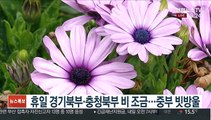 [날씨] 휴일 중부 비 조금…낮기온 어제보다 높아