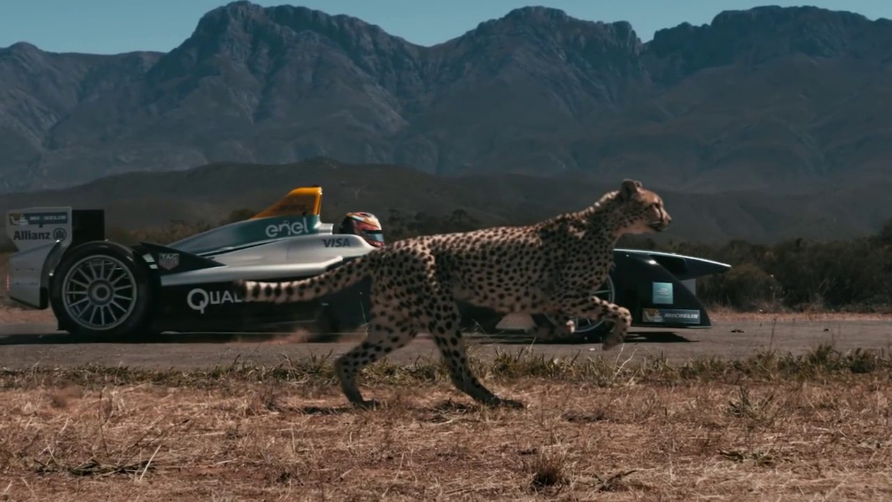 Drag Race- Formula E Car vs Cheetah | ALL-VEHICLE