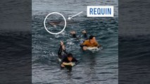 Un Français boxe un requin - Surf - WTF