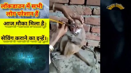News Online Musti Time || लॉकडाउन में सभी लोग परेशान हैं। आज मौका मिला है सेविंग कराने का इन्हें। || Everybody is upset in the #Lockdown. Today, they have got a chance to save||