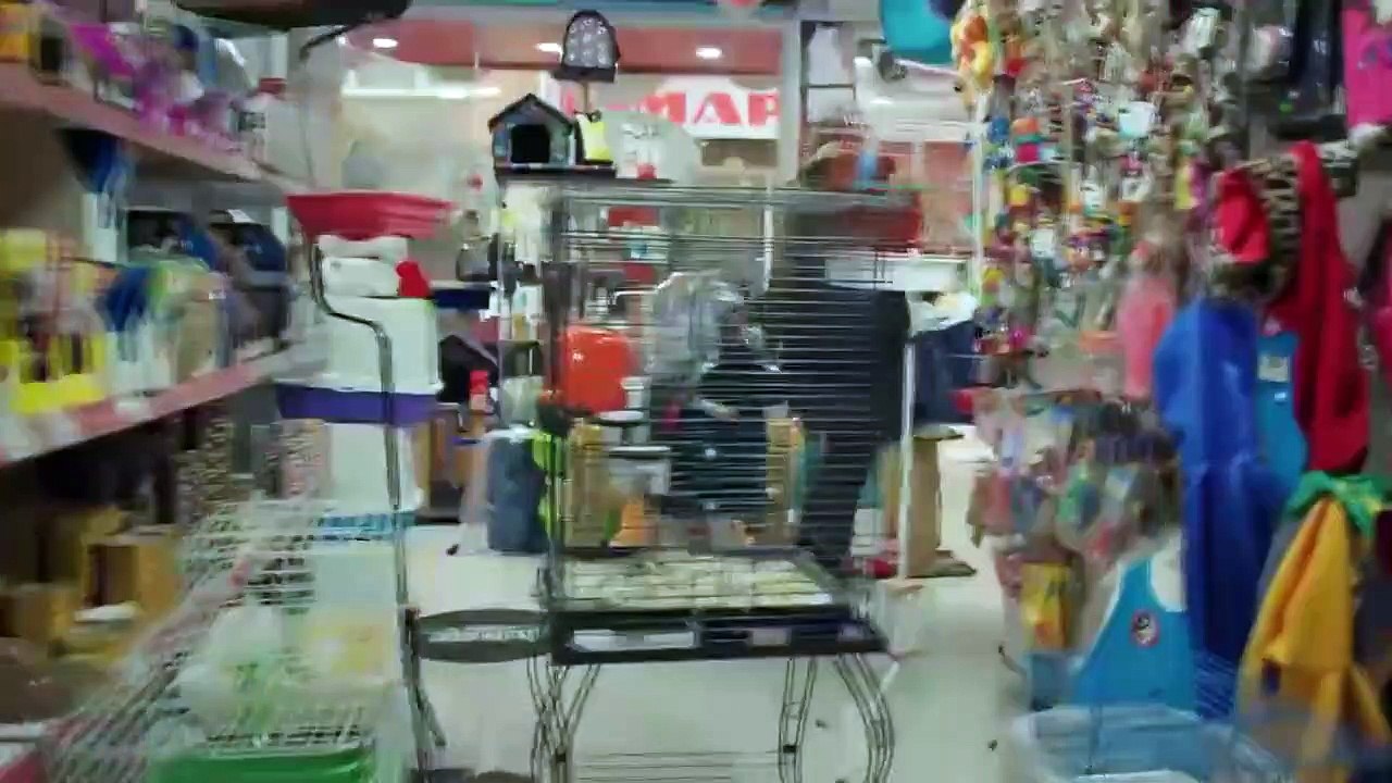 Madre - Capitulo 15