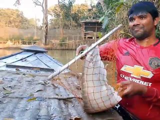 World  Best Hand Fishing/Most Big Fish Hunting in the Natural Beautiful Canal
