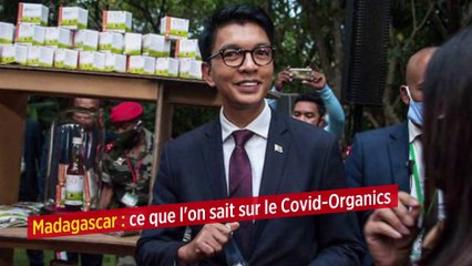 Madagascar : ce que l'on sait sur le Covid-Organics