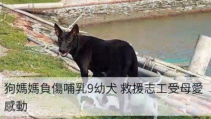 taronews.tw-copy3-20200510-16:39