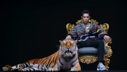 『流星花園』插曲 非同小可MV - 王鶴棣 DAO MING SI