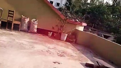 আজকের রোদ দেখে নিন।