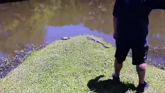 Photo d'un crocodile : il laisse tomber son iphone dans l'eau par surprise !