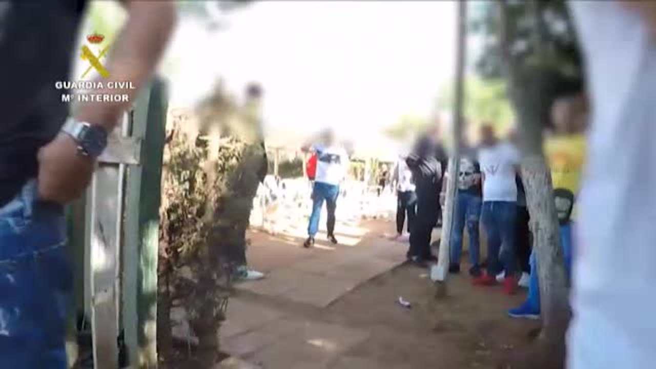 La Guardia Civil irrumpe en una finca de Sevilla donde se realizaban peleas de gallos