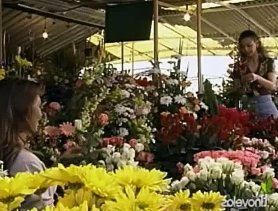 Rosalinda Capítulo 3
