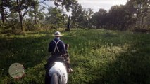 Red Dead Redemption 2 Online Localización de Objetos Colección de Piedras Preciosas (Nuevas Ubicaciones de la colección)