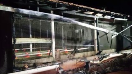 Bombeiros combatem incêndio que atingiu aviário em Sede Alvorada