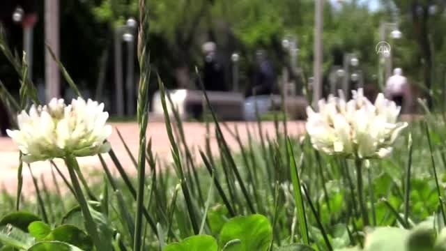 65 yaş ve üzeri vatandaşlar uzun bir aradan sonra sokağa çıktı