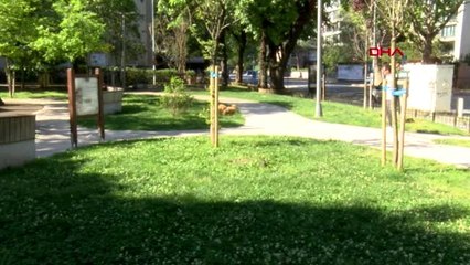 YASAĞIN İKİNCİ GÜNÜNDE KÖPEKLERİNİ GEZDİRİP, SOKAK HAYVANLARINI BESLEDİLER