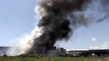 Narenciye paketleme fabrikasında yangın çıktı (2)