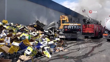 Mersin'de narenciye paketleme fabrikasında yangın