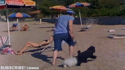 Zikina dinastija - Zika kaci kucice da se odmore