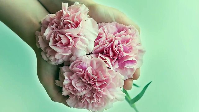 Uma Linda Homenagem ao dia das Mães