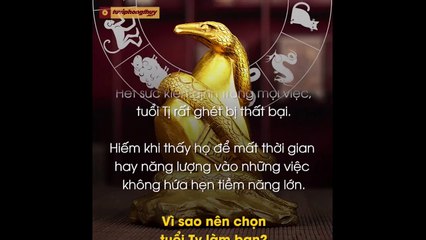 Vì sao nên chọn Người tuổi Tỵ làm bạn