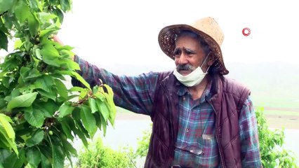 Robinson Ziya dede 4 saatlik izinde adasına koştu iha