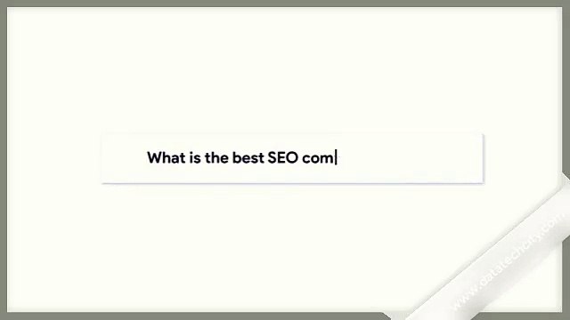 seo windsor berkshire