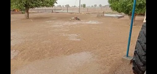 लूणकरनसर में बारिश के साथ गिरे ओले