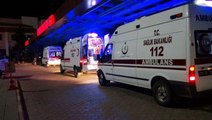 Ankara'da 5 çocuk annesi kadın, ayı saldırısında hayatını kaybetti