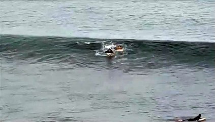 Un tiburón ataca a un turista francés que practicaba surf en Australia