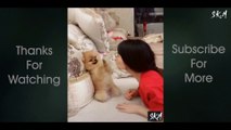 Funny Pets & Animal Compilation | Cute Pet & Animal Fun | SK.M Official | 2020