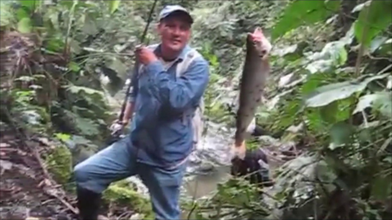 PESCA DE TRUCHAS EN ECUADOR